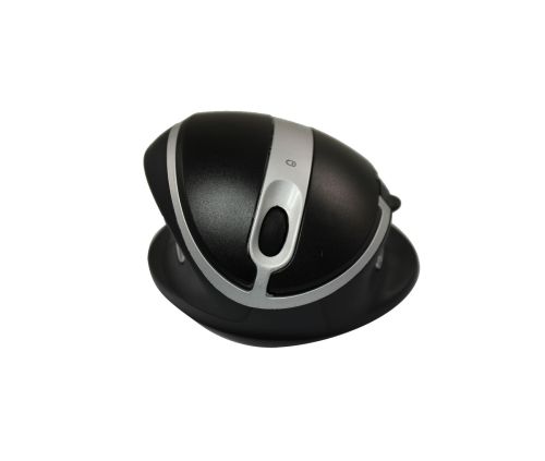 Oyster Mouse